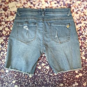 Democracy Jean shorts